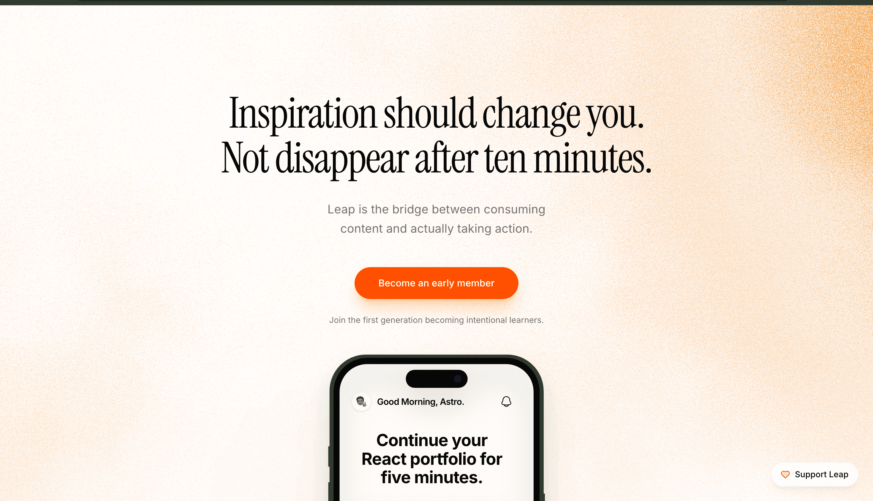 Leap Interface